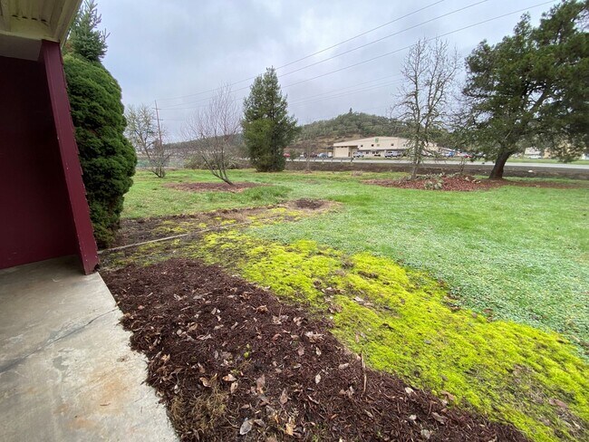 Foto del edificio - Large Four Bedroom House with a Yard!