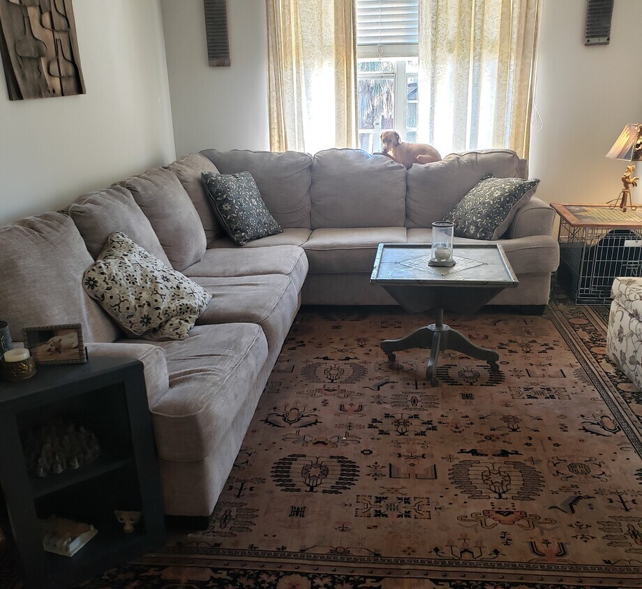 1050 Bella Vista Blvd Unit 202, St Augustine, FL 32084 Condo for Rent in St Augustine, FL