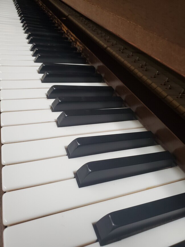 105 2nd Ave NE Unit 103, Glenwood, MN 56334 Condo for Rent in