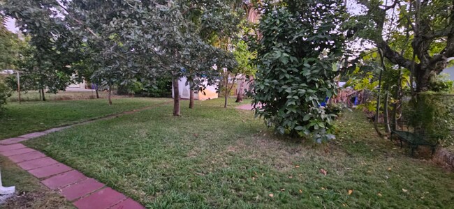 Building Photo - 1948 Roosevelt St