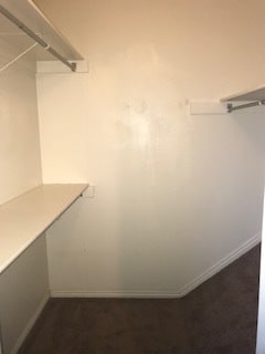 Building Photo - 61 Hampton Pl