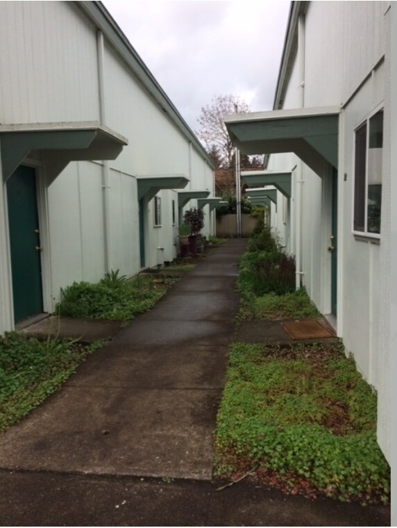 Hosanna Apartments Springfield Or Apartments Com