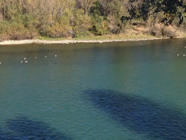 Foto del edificio - 1046 Continental St