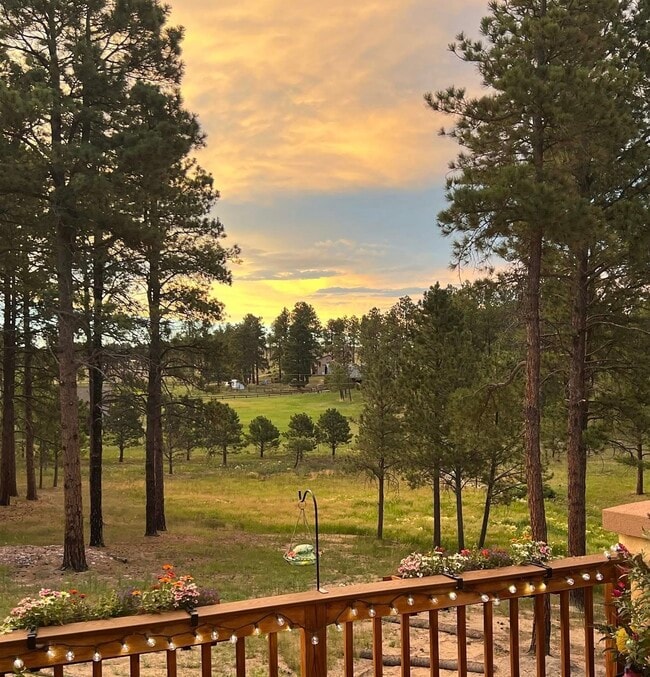 Building Photo - 6980 Wildridge Rd