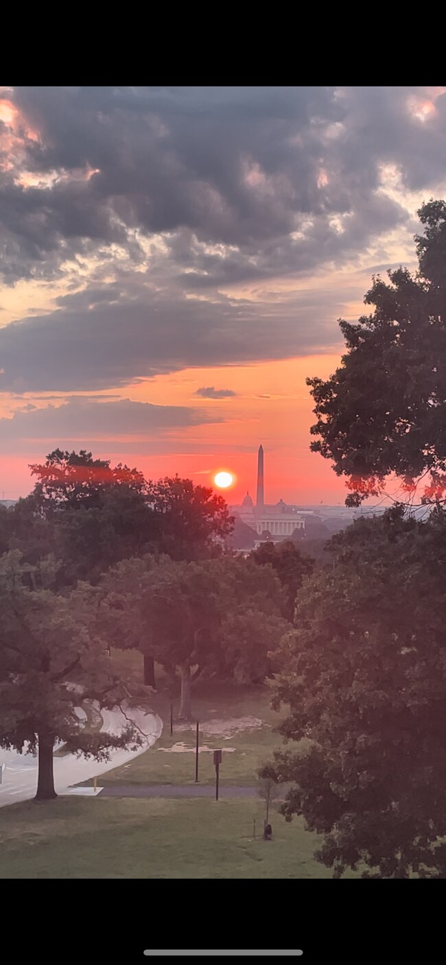 Vista desde la sala de estar - 1304 N Meade St