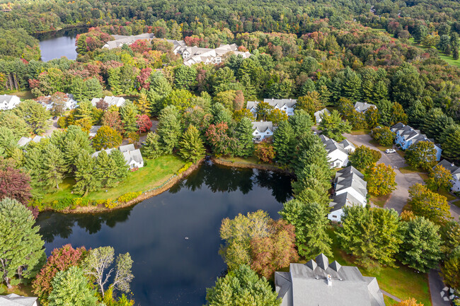 Building Photo - Forest Park Apartment Town Homes