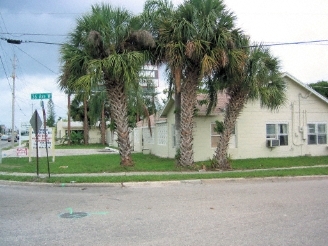 Foto del edificio - The Palms