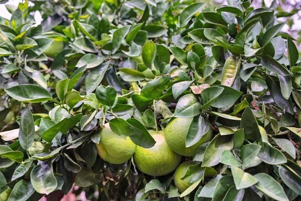 Foto del edificio - 14 Stadium Way