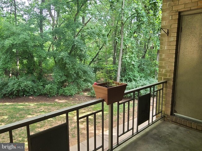 Building Photo - 12204 Braxfield Ct