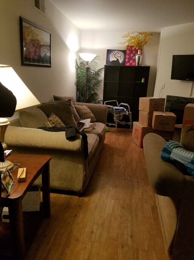Sala de estar con muebles anteriores - 610 Venice Way