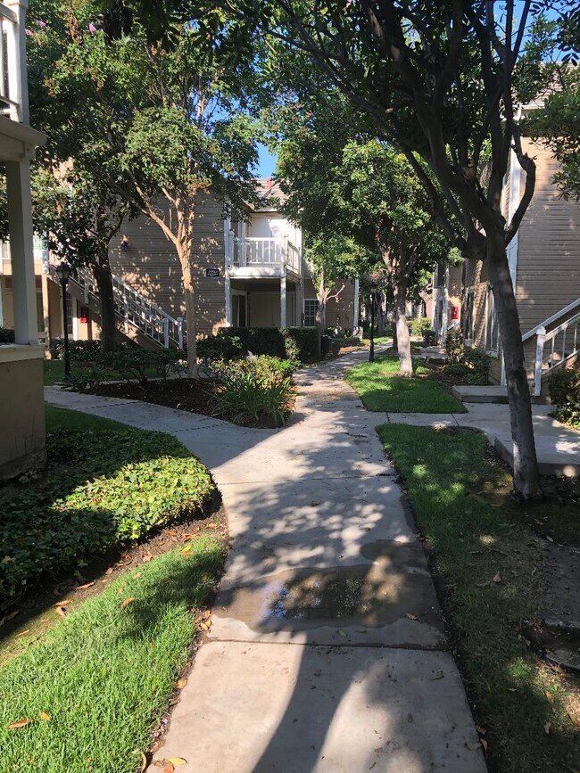 Walkway - 3859 Thorncroft Ln