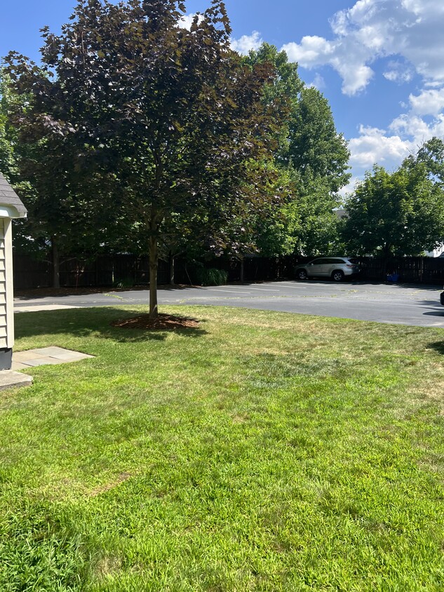 Backyard with parking - 28 Church Street