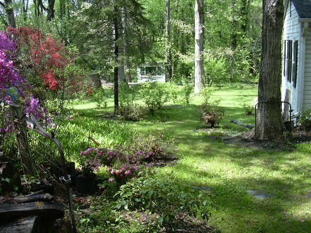 Building Photo - 7816 Libeau Ln