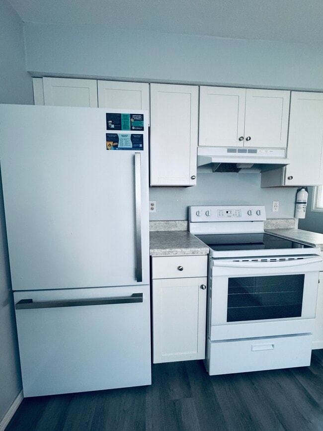 Building Photo - 419 S Village Ct