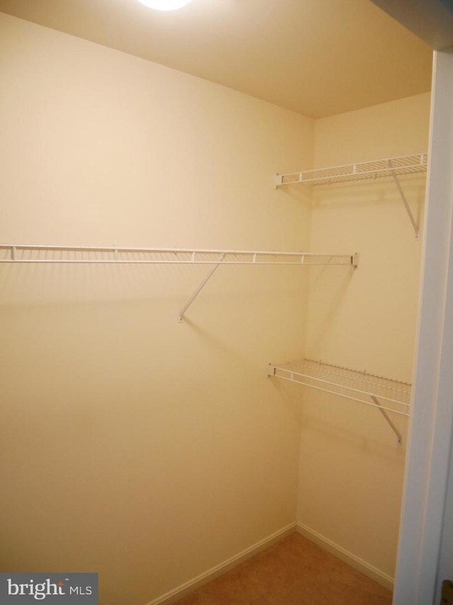 Building Photo - 431 Capstan Ct