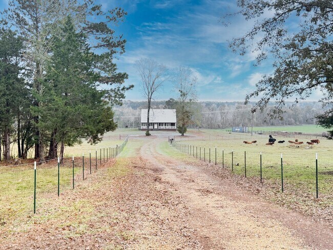 Foto del edificio - 3 Bed 2 Bath Home in Simsboro