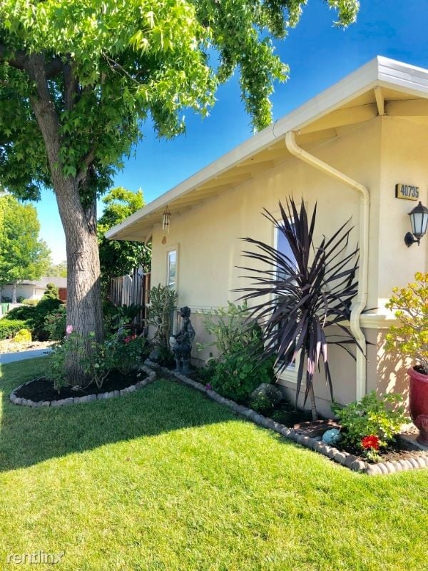 Building Photo - 4 br, 3 bath House - 40735 Ambar Pl