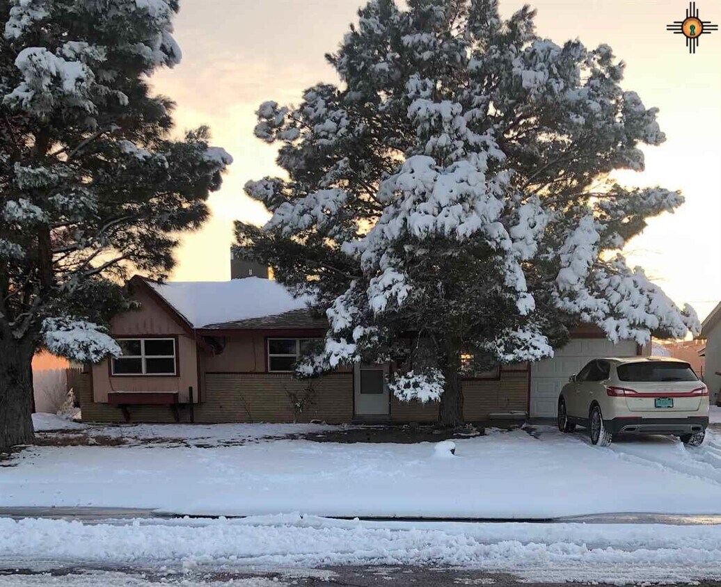 2917 N Northwest Dr, Hobbs, NM 88240 House Rental in Hobbs, NM