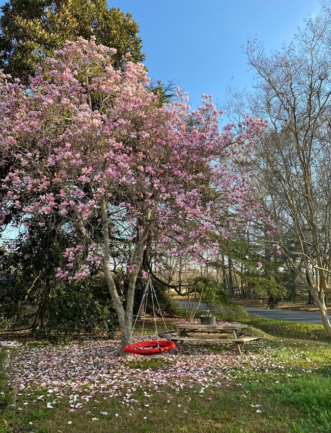Foto del edificio - 8807 Antler Dr