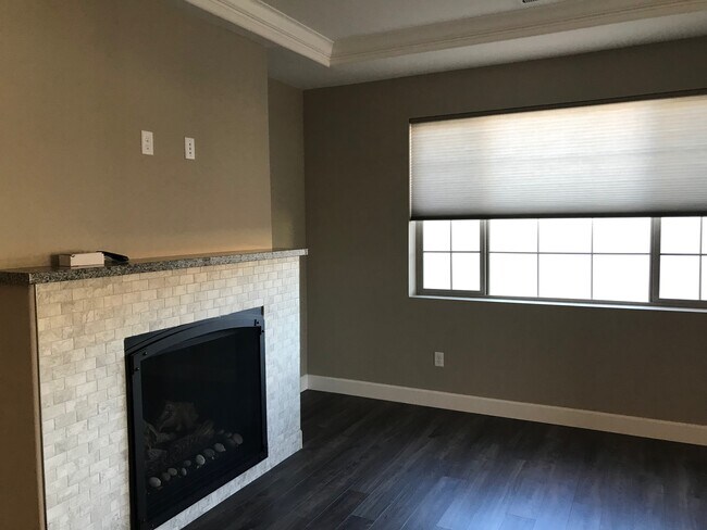 fire place - 209 Holly Oak Ct