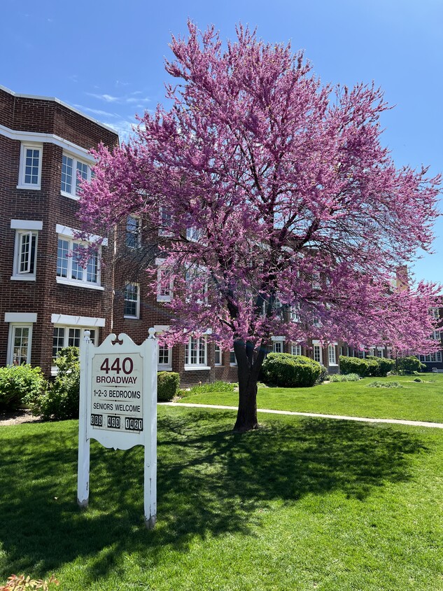 Primary Photo - Broadway Apartments