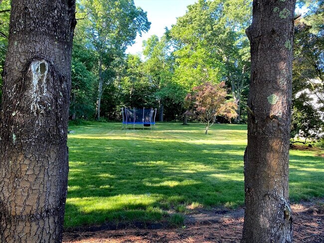 Foto del edificio - 15 Winchester Dr