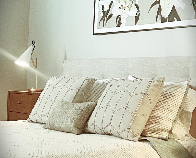 Zocalo Apartments Houston, TX