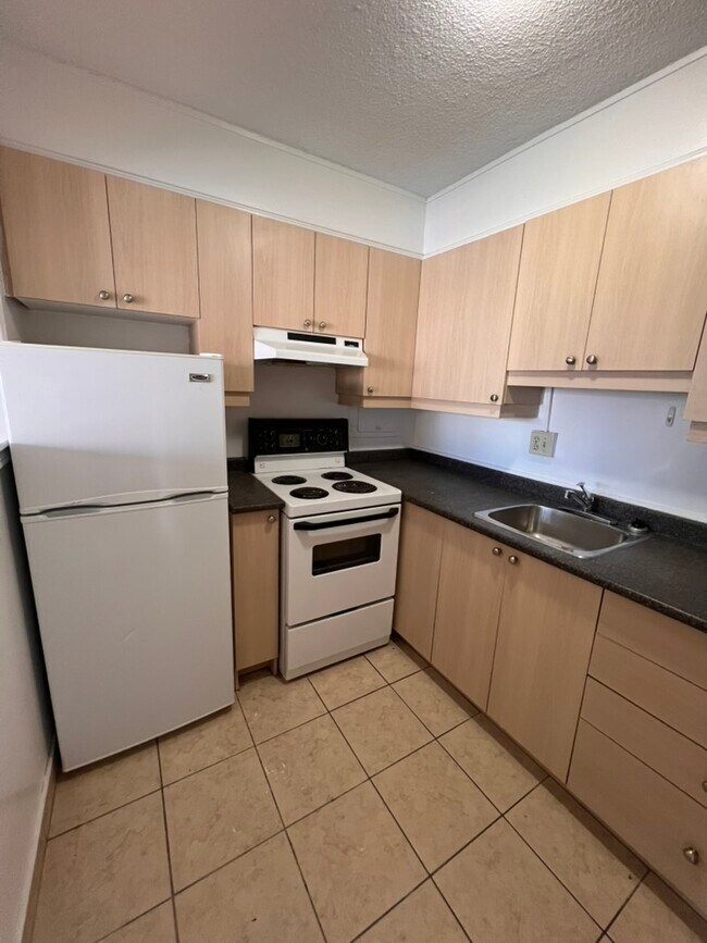 Building Photo - 263 MacLaren St