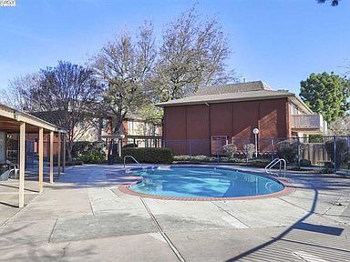 Community Pool - 38500 Paseo Padre Pky