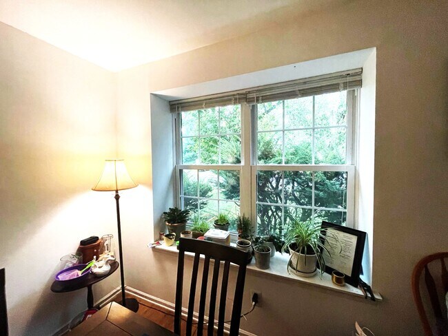Living Room Windows - 1684 Bluebird Dr