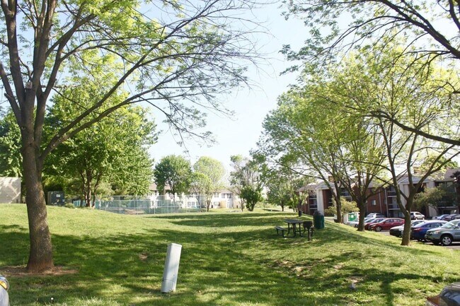 Foto del edificio - 1116 Blue Ridge Dr