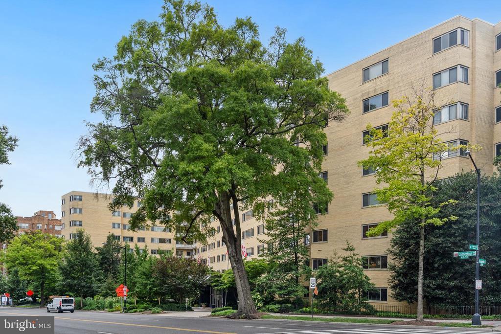 Primary Photo - 4600 Connecticut Ave NW