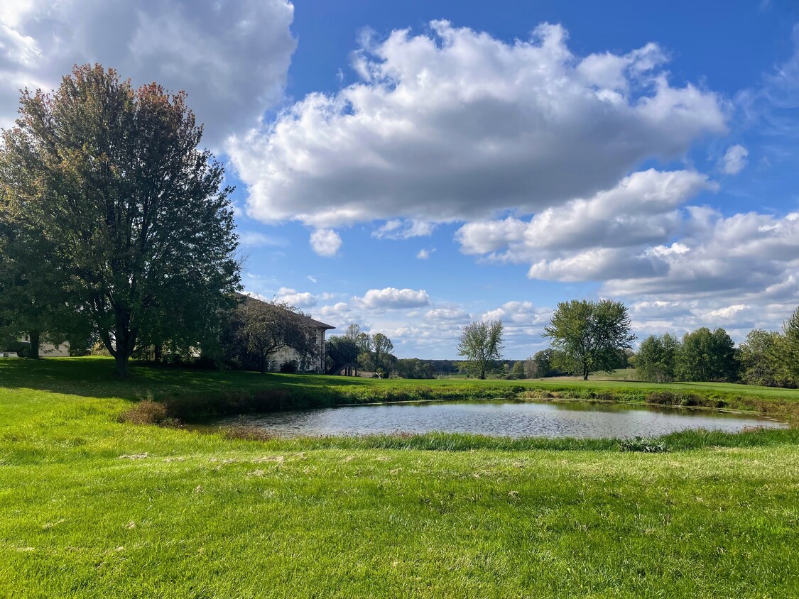 View of duplex and pond - 7957 Bethel Rd