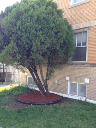 2435 W 72nd St. - 7200 S Artesian Ave
