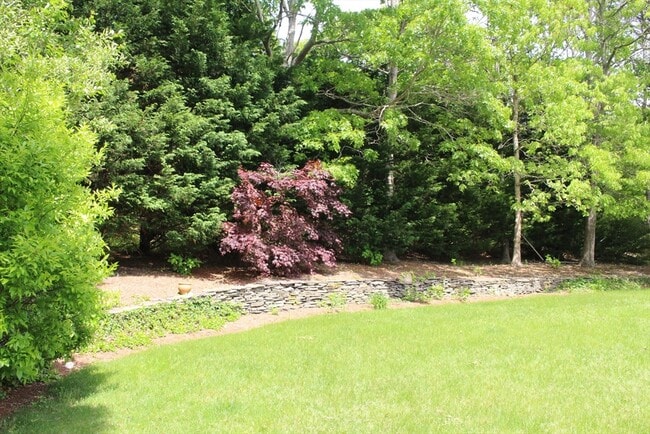Building Photo - 46 Winsome Rd