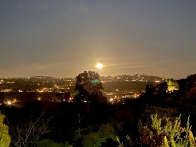 Building Photo - Bright 2 bedroom 2.5 bath townhome in La Costa and award winning schools