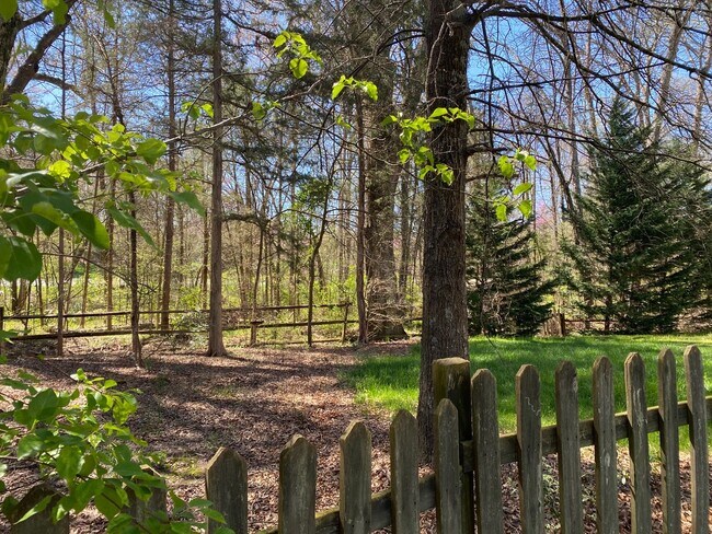 Building Photo - Spacious Waxhaw Home