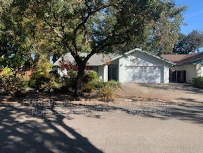 Building Photo - 2447 San Pedro Dr