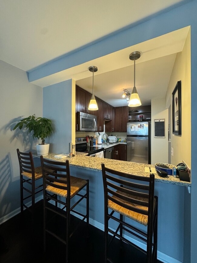 Foto del edificio - 1560 N Sandburg Terrace