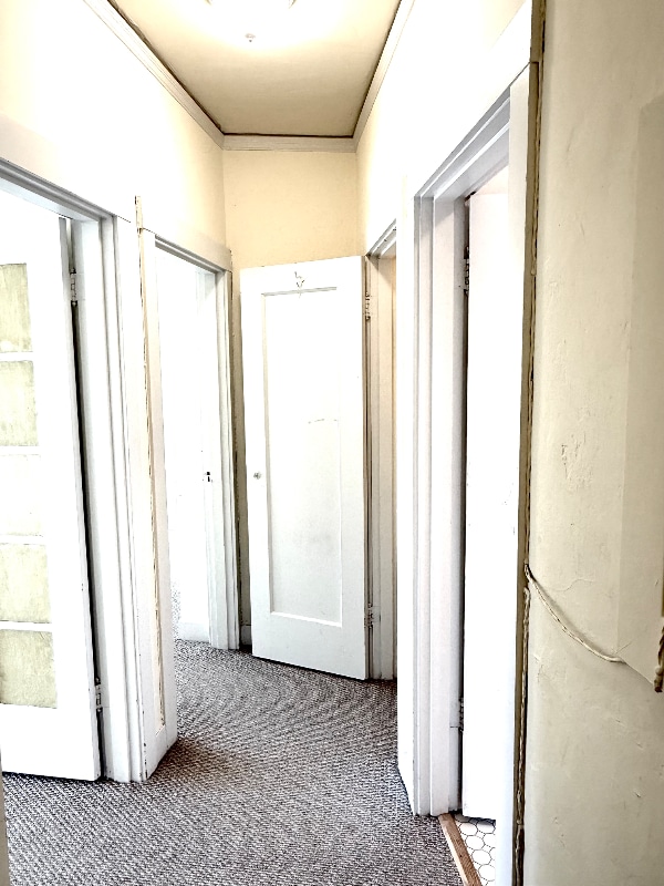 Foto del edificio - 2818 Telegraph Ave