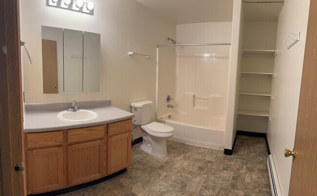 Baño bien iluminado con combinación de bañera y ducha completa, tocador extendido y estantes empotrados. - 2979 Badger Rd