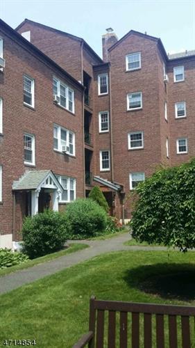 Foto del edificio - 217 Prospect Ave