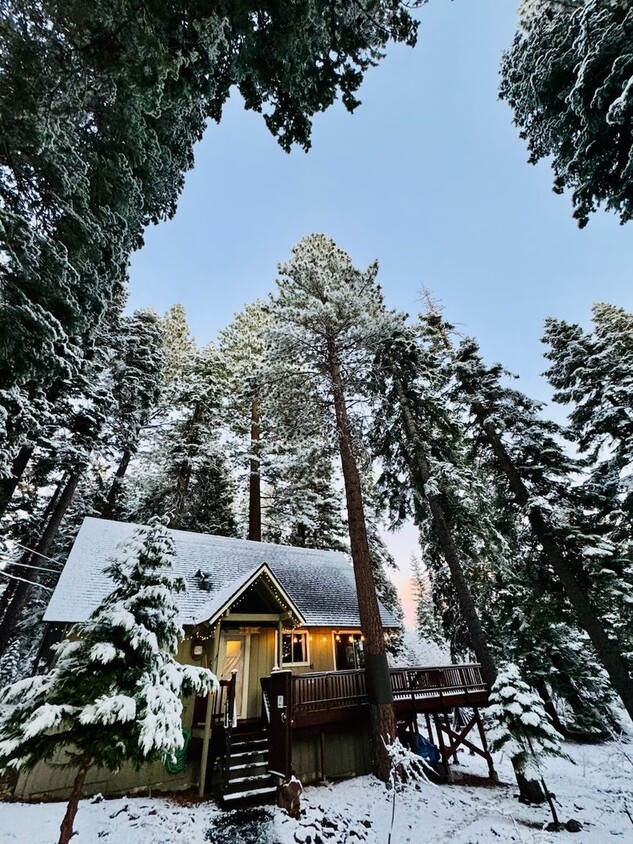 Primary Photo - '25-'26 SKI LEASE: "Honey Bear Cabin" Wood...