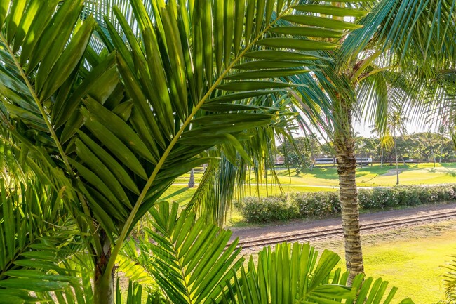 Foto del edificio - Welcome to this Beautiful Coconut Plantati...