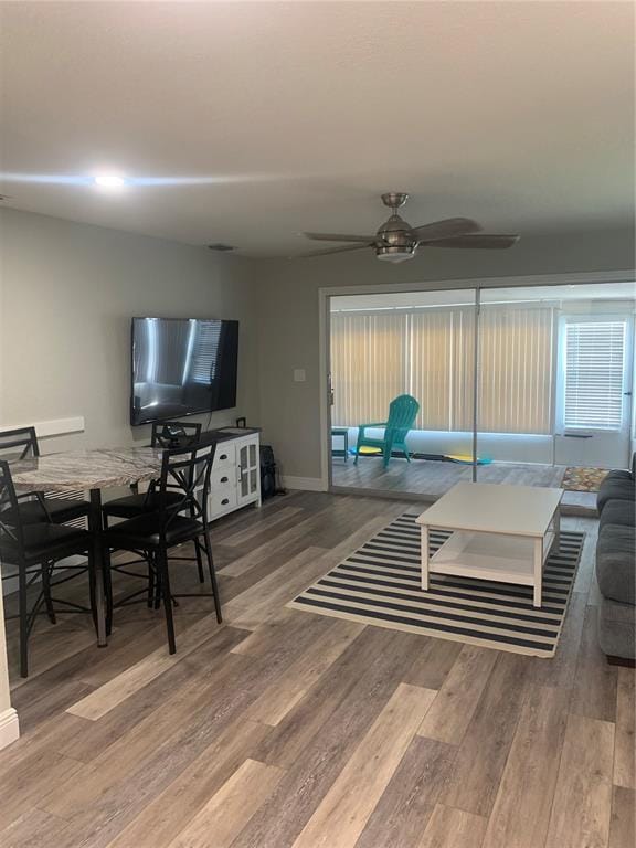 4551 Floramar Terrace, New Port Richey, FL 34652 House Rental in New