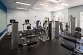 This fitness center is a thoughtfully designed, single-level space that provides a comprehensive workout environment within a compact but efficiently organized footprint. The interior is finished with crisp white walls and light grey tones, punctuated by a bold cobalt blue accent wall that adds visual energy to the space. Recessed rectangular ceiling fixtures provide consistent, bright overhead lighting throughout, complementing the natural light that enters through several large windows, including a distinctive arched window that serves as an architectural focal point.

The flooring throughout is durable rubber, ideal for high-traffic gym use, providing both safety and sound absorption. The equipment layout is well-planned, with cardio machines—including True-brand ellipticals and stationary bikes—arranged in rows along one side of the room. Strength and resistance machines, including cable systems and various selectorized units, are distributed throughout the remaining floor space, offering a well-rounded selection for full-body training.

A full-length mirror spanning one wall reflects the space, creating a sense of openness while allowing users to monitor their form. A wall-mounted television and posted fitness center rules on the blue accent wall add practical amenities. The overall ambiance is clean, modern, and functional.