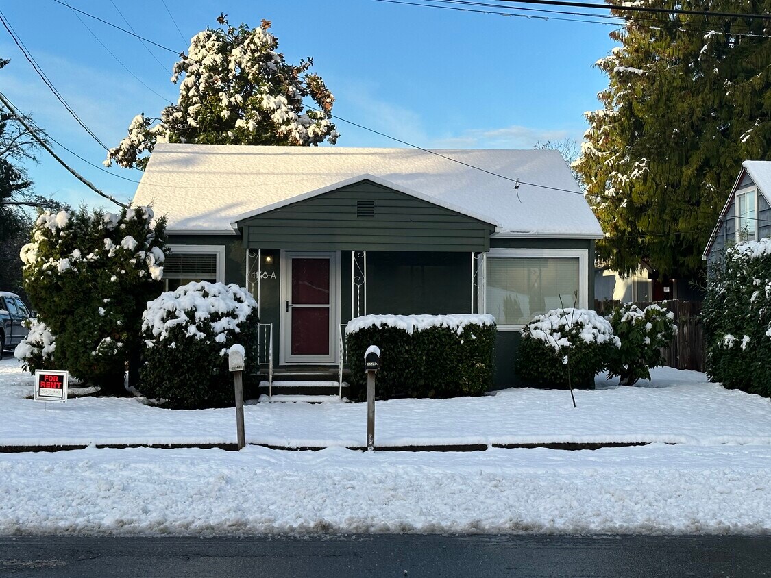 Front Yard - 1148 Sidney Ave