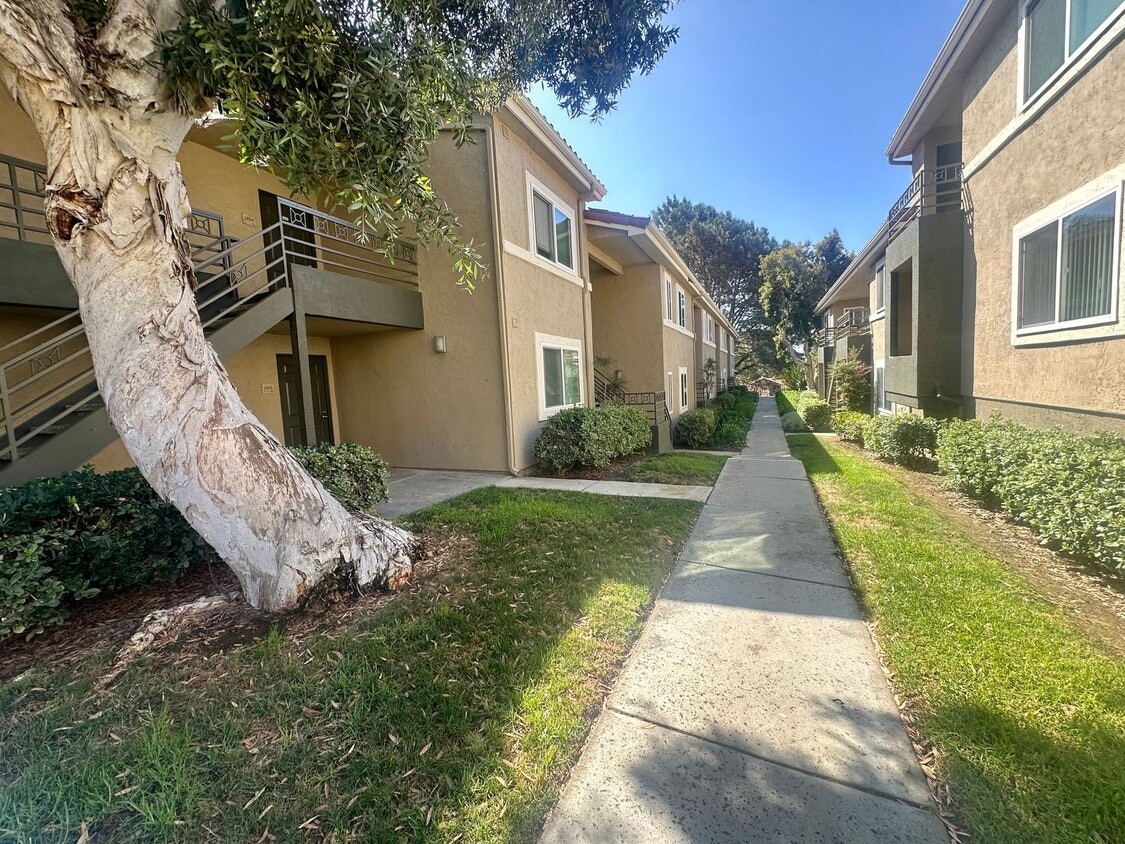 Primary Photo - $800 OFF FIRST MONTHS RENT for this Bright...