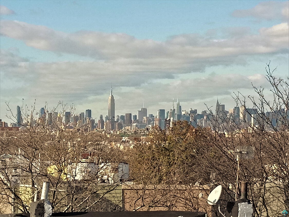 691 Chauncey St Unit 2B, Brooklyn, NY 11207 Apartment for Rent in