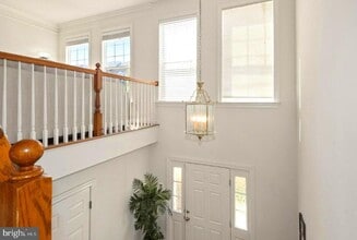 Building Photo - 8116 Rainwater Cir